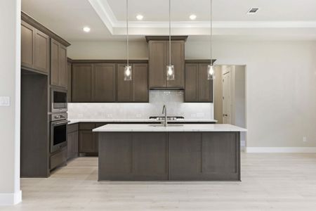 New construction Single-Family house 1609 Bella Wy, Wylie, TX 75098 plan Lucera - image 17