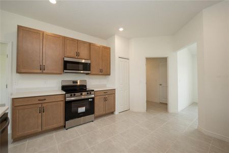 New construction Single-Family house 3432 Blueberry Trl, Bartow, FL 33830 - image 3