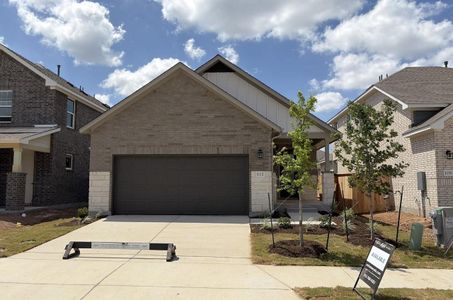 New construction Single-Family house 112 Lions Tail Cv, San Marcos, TX 78666 - image