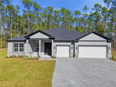 New construction Single-Family house 1215 W Union St, Hernando, FL 34442 - image