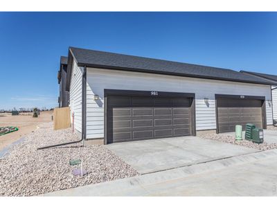 New construction Single-Family house 981 Trumpet Ln, Windsor, CO 80550 - image 4