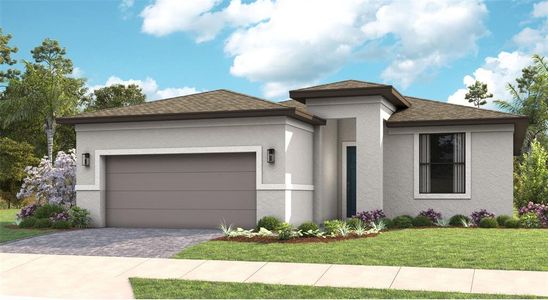 New construction Single-Family house 14370 Hammock Oak St, Parrish, FL 34219 - photo 0