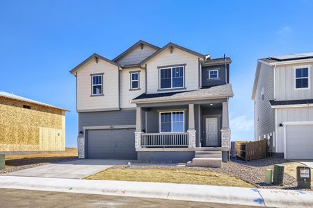 New construction Single-Family house 623 Noola St, Windsor, CO 80550 plan Willow - image