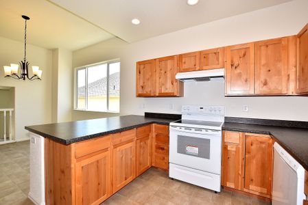 New construction Single-Family house 437 Vivid Ln, Windsor, CO 80550 null- photo 17 17