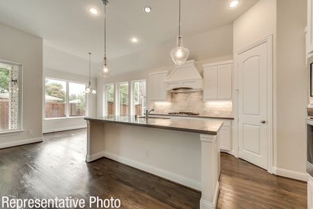 New construction Single-Family house 4837 Mckinney Hollow Dr, McKinney, TX 75070 null- photo 5 5