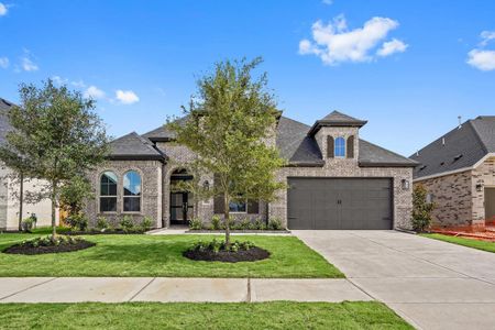 New construction Single-Family house 31007 Peony Place Dr, Fulshear, TX 77441 plan 215 - image