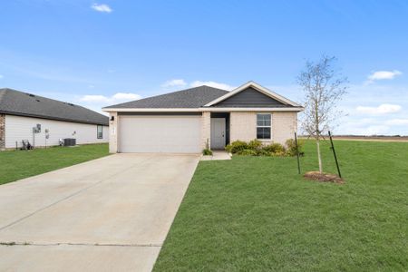 New construction Single-Family house 1326 Bison Vw, Sealy, TX 77474 - image