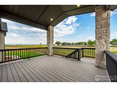 New construction Single-Family house 166 Blue Fortune Dr, Windsor, CO 80550 - image