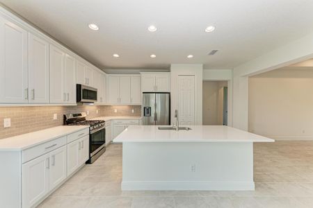 New construction Single-Family house 4109 Golden Creek Trl, Parrish, FL 34219 Boca Grande Villa – The Laurels- photo 17 17