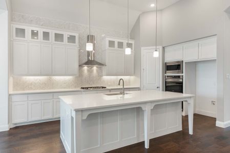New construction Single-Family house 2036 Grey Birch Pl, Aledo, TX 76008 plan 217 - image 6