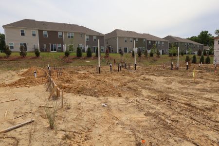 New construction Townhouse house 3238 Lilac Grove Dr, Charlotte, NC 28269 plan Catawba - image