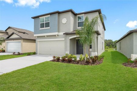 New construction Single-Family house 2110 Victorious Falls Avenue, Plant City, FL 33563 - photo 0