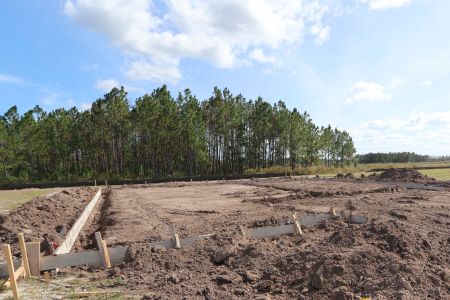 New construction Single-Family house 1878 Drummond Point, Zephyrhills, FL 33541 Corina II Bonus- photo 1 1