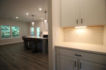 New construction Single-Family house 93 Riverwalk Manor Dr, Dallas, GA 30132 - image 7