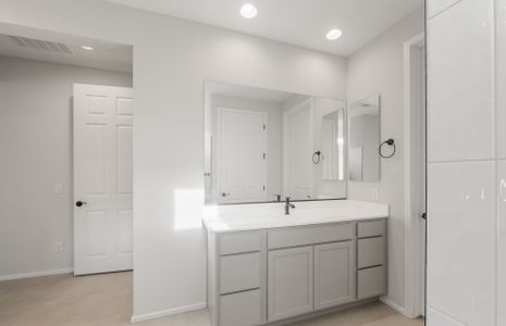 New construction Single-Family house 7846 W Cactus Wren Wy, Florence, AZ 85132 plan Haven - image 11