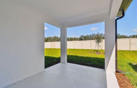 New construction Single-Family house 3022 Forest Meadow Ave, Valrico, FL 33594 Heston- photo 15 15