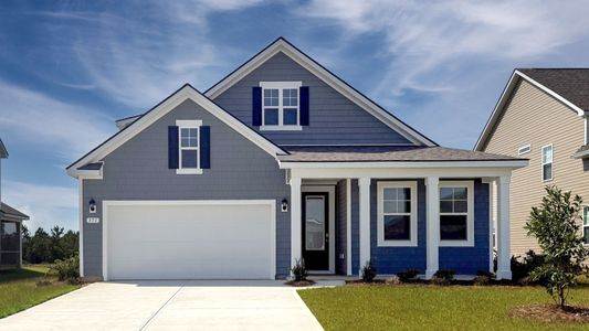 New construction Single-Family house 371 Hadley Springs Ave, Longs, SC 29568 plan Darby - image