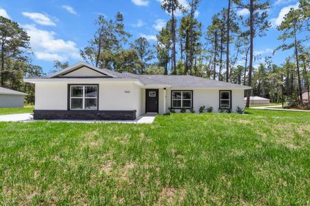 New construction Single-Family house 9969 N Bamboo Wy, Citrus Springs, FL 34434 - image
