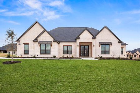 New construction Single-Family house 132 Peachleaf Dr, Krugerville, TX 76227 plan Mantle - image