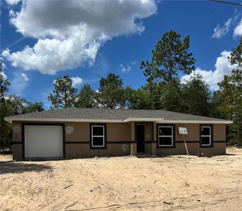 New construction Single-Family house 21712 Sw Rainbow Lakes Blvd, Dunnellon, FL 34431 - image