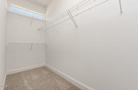 New construction Single-Family house 82 Laramie Ln, Selma, NC 27576 - image 14