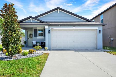 New construction Single-Family house 5538 Blue Azure Dr, Wimauma, FL 33598 - image