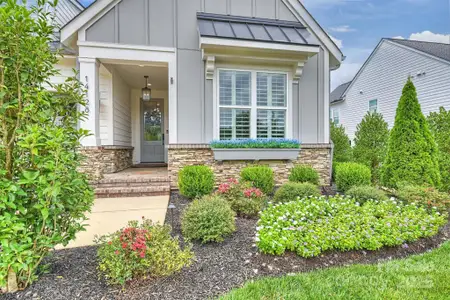 New construction Single-Family house 14128 Pinoli Pine Cir, Huntersville, NC 28078 - image