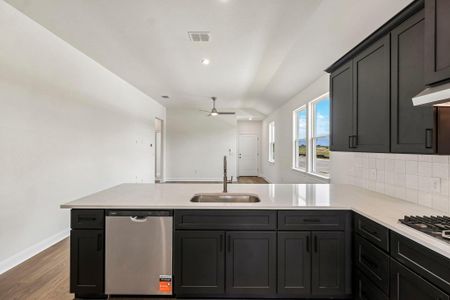 New construction Single-Family house 191 Glocken Ln, Kyle, TX 78640 plan Decker - image 8
