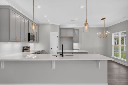 New construction Single-Family house 152 Hanover Pl, Richmond Hill, GA 31324 plan Edisto - image 8