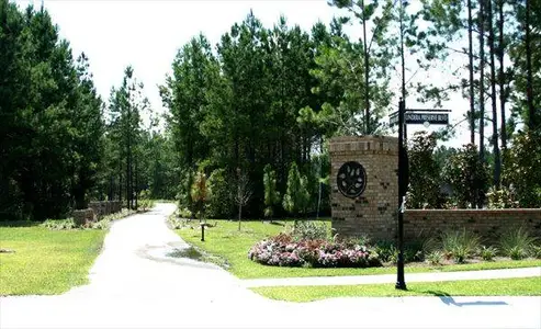 New construction Single-Family house 525 Verdi Dr, Summerville, SC 29486 FANNING- photo 45 45