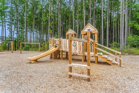 New construction Single-Family house 476 Rowley Lane, Summerville, SC 29486 Nantahala- photo 57 57