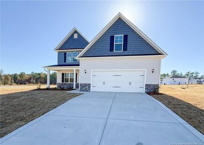 New construction Single-Family house 376 Palomo Pl, Raeford, NC 28376 - image