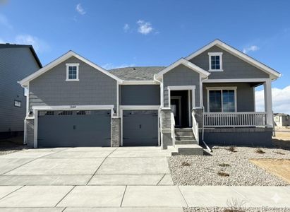 New construction Single-Family house 13817 Daffodil Wy, Parker, CO 80134 plan Summit - image