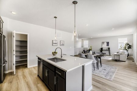 New construction Single-Family house 13763 Daffodil Wy, Parker, CO 80108 plan Silverthorne - image 13