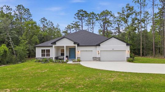 New construction Single-Family house 1427 W Mineral Ct, Hernando, FL 34442 - image