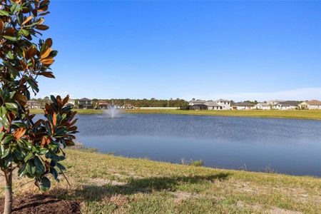 New construction Single-Family house 77 Del Palma Drive, Palm Coast, FL 32137 - photo 20 20