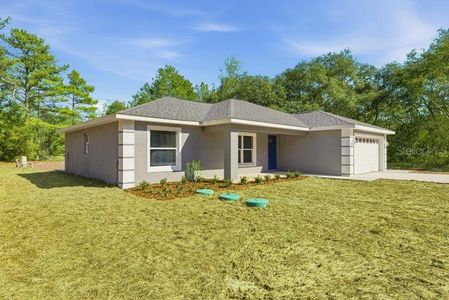 New construction Single-Family house 11 Bay Pl, Ocklawaha, FL 32179 - image