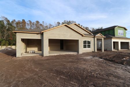 New construction Single-Family house 20339 Oriana Loop, Land O' Lakes, FL 34638 Newport II- photo 65 65