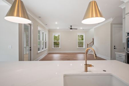 New construction Single-Family house 2508 Annie Aiden Ln, Charleston, SC 29414 plan Davis - image 16