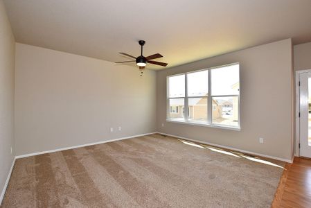 New construction Single-Family house 437 Vivid Ln, Windsor, CO 80550 null- photo 23 23