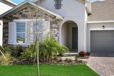 New construction Single-Family house 7417 Sea Manatee St, Parrish, FL 34219 plan Arlington - image