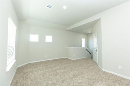 New construction Single-Family house 13778 Sunshine Peak Dr, Willis, TX 77318 Augusta- photo 15 15
