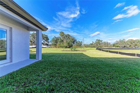 New construction Single-Family house 13432 Buffalo Mountain Ave, Riverview, FL 33579 plan Key Largo - image