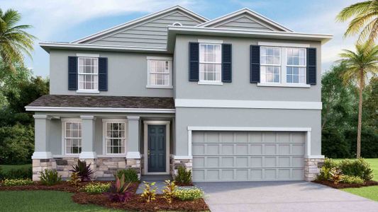 New construction Single-Family house 133 Mangrove Manor Dr, Apollo Beach, FL 33572 null- photo 1 1