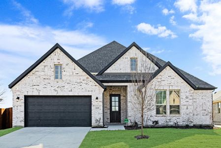 New construction Single-Family house 225 Wintergrass Dr, Waxahachie, TX 75165 null- photo 0