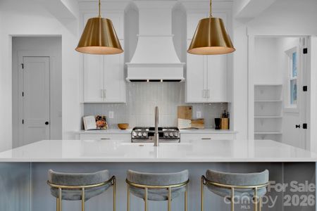 New construction Single-Family house 1810 Ferguson Ct, Charlotte, NC 28205 - image 11