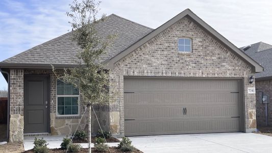 New construction Single-Family house 658 Walkabout Pl, Lavon, TX 75166 plan Diana - image