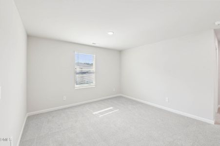 New construction Single-Family house 685 White Birch Ln, Angier, NC 27501 plan Chatham - image 18