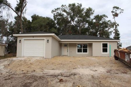 New construction Single-Family house 11 Emerald Trail, Ocala, FL 34472 - photo 0