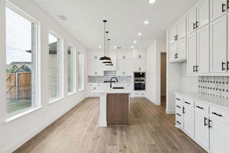 New construction Single-Family house 1014 Emerald Trace Dr, Justin, TX 76247 plan Monte Carlo - image 13